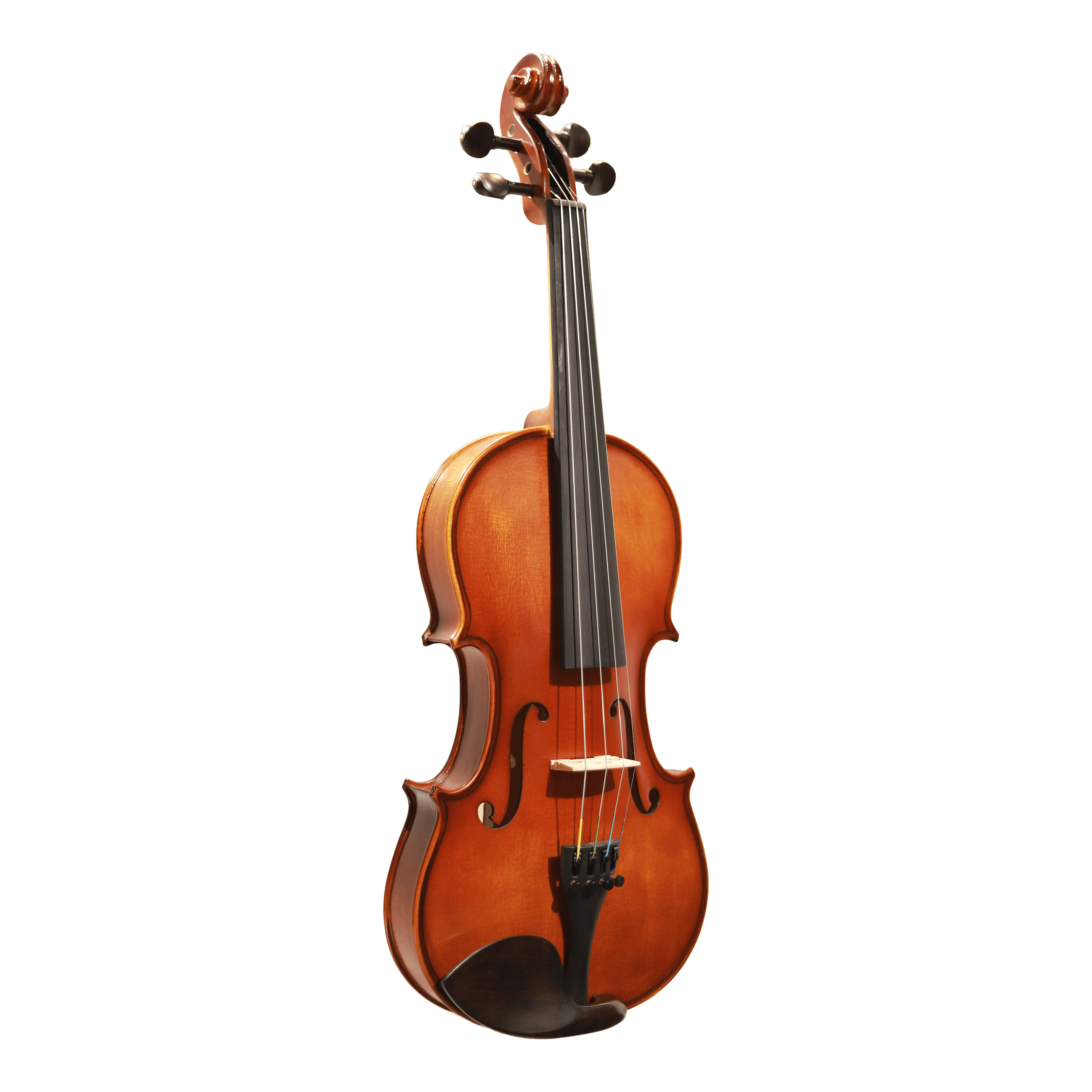 CS violin 學生系列小提琴 V-100