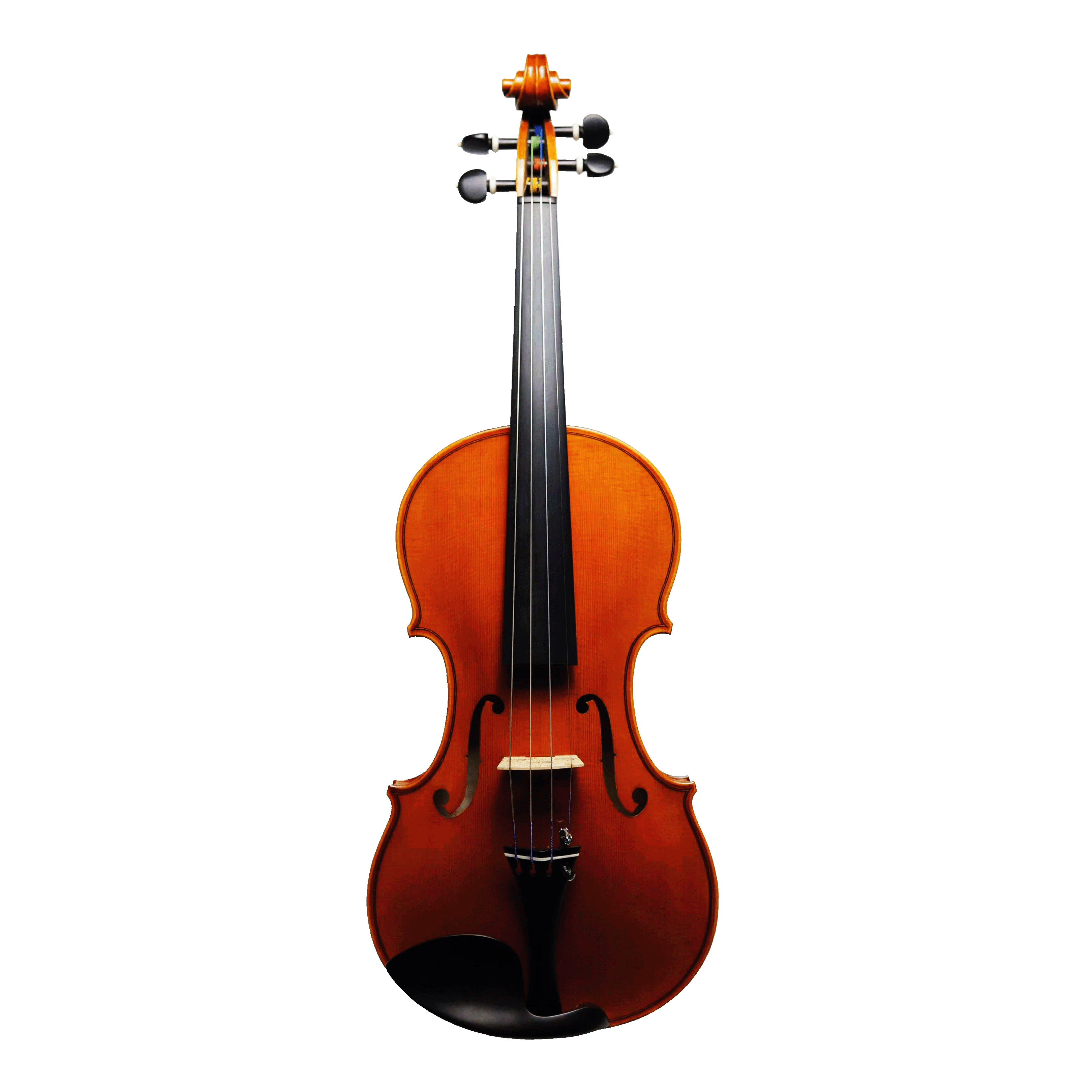 CS Violin 獨奏系列小提琴 V-800